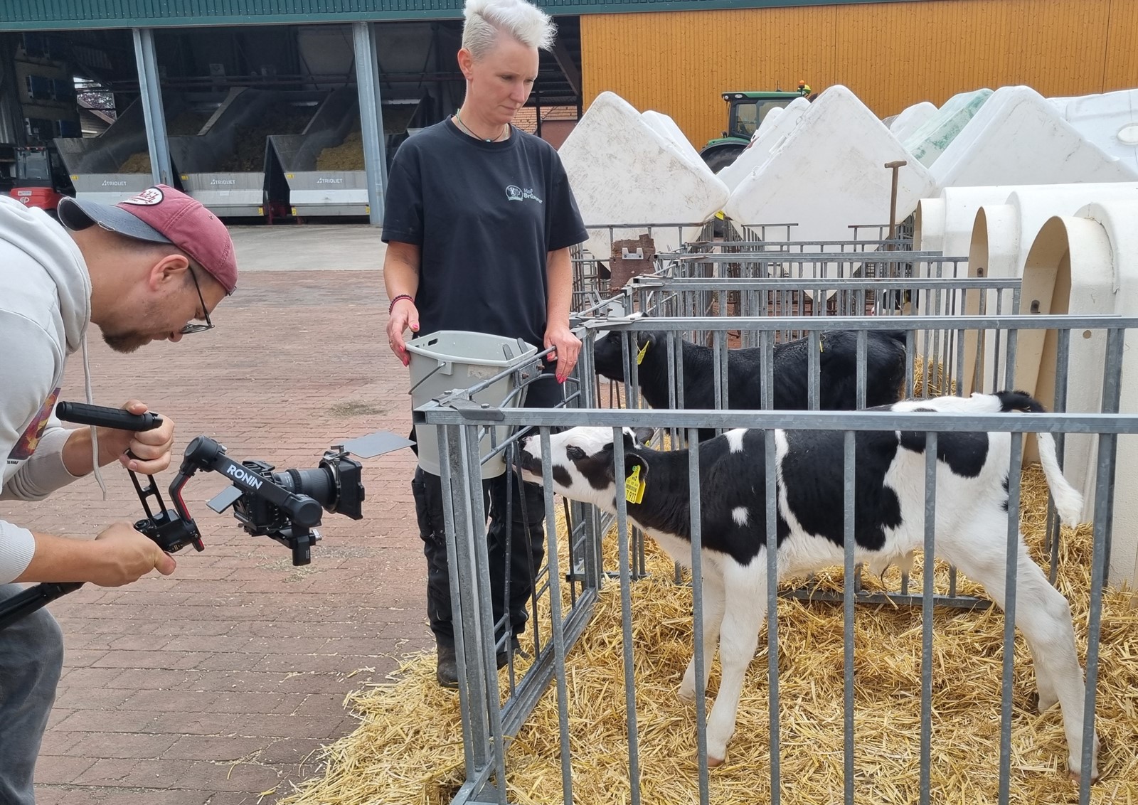 Kameramann filmt Landwirtin an einer Kälberbox, in der ein Tier trinkt