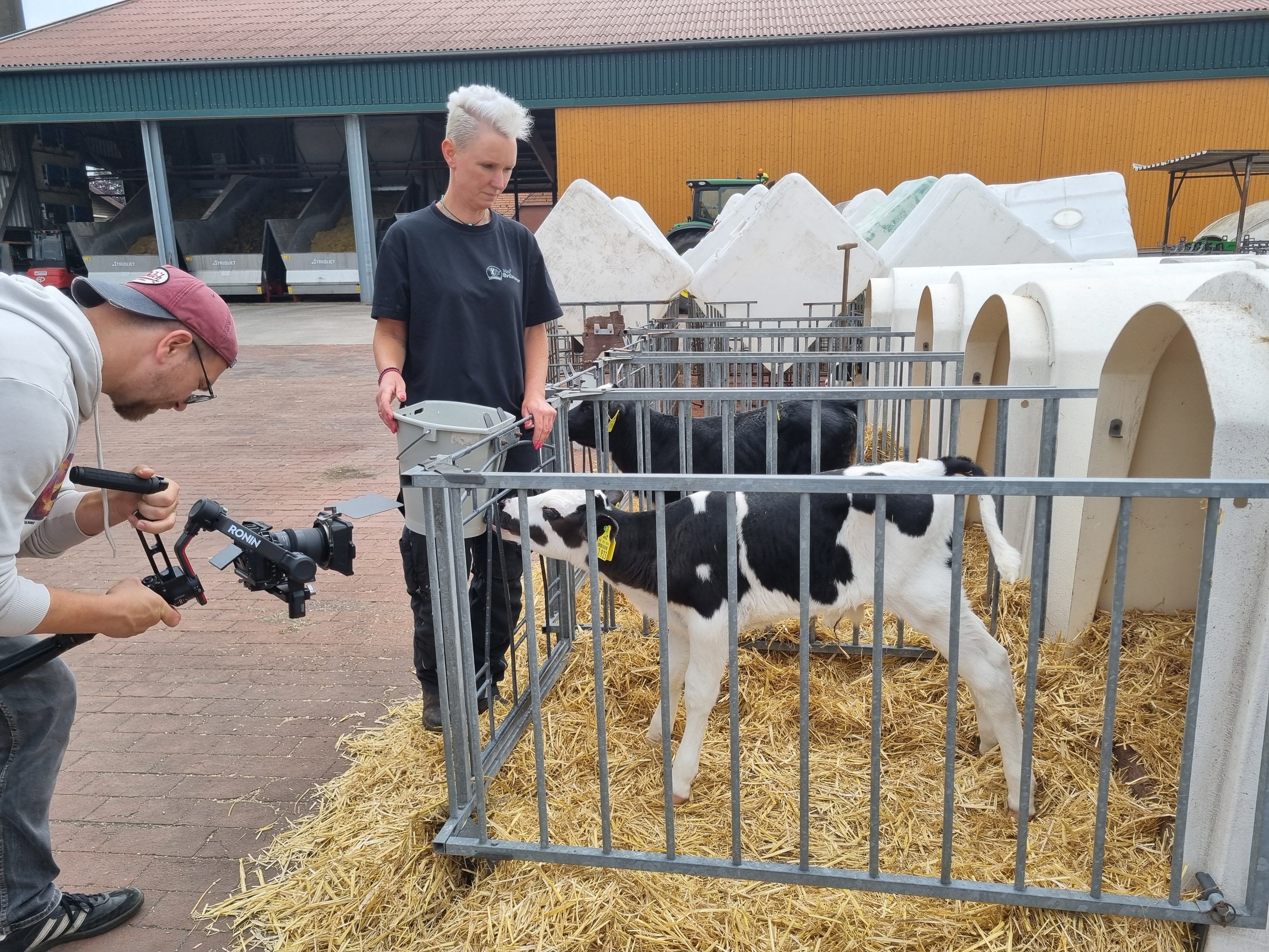 Kameramann film Landwirtin an einer Kälberbox, in der ein Tier trinkt