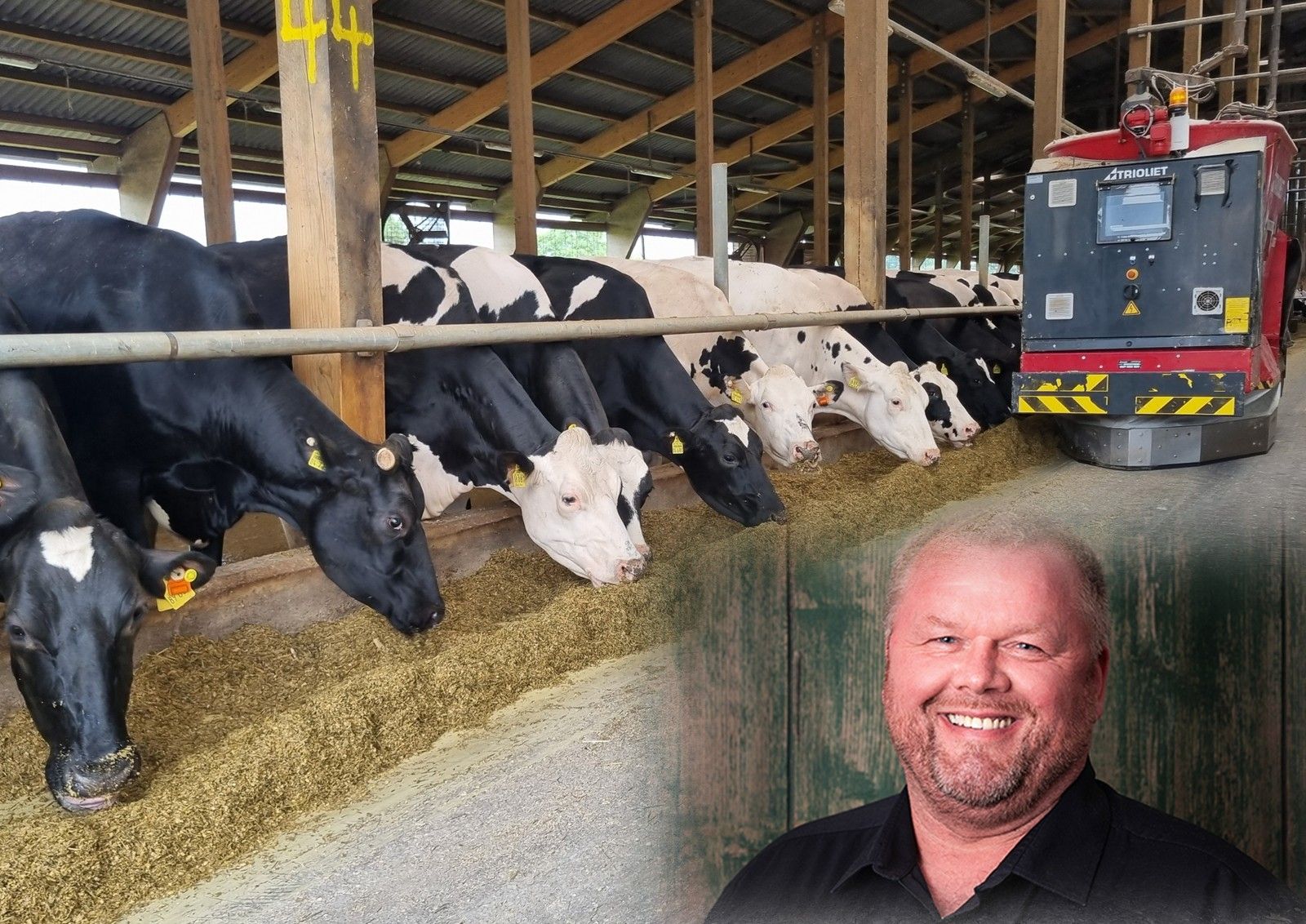 Foto-Collage aus einem Motiv eines Kuhstall, in dem ein Roboter Futter bereitstellt und dem Portrait des Landwirts